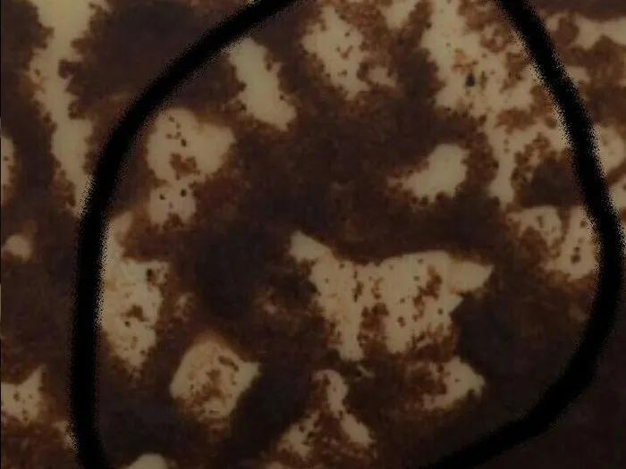 Запись на прием к гадалке в Вольске